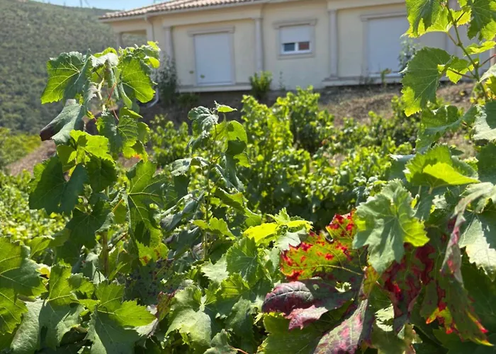 Quinta Dom Reis Villa Batalha